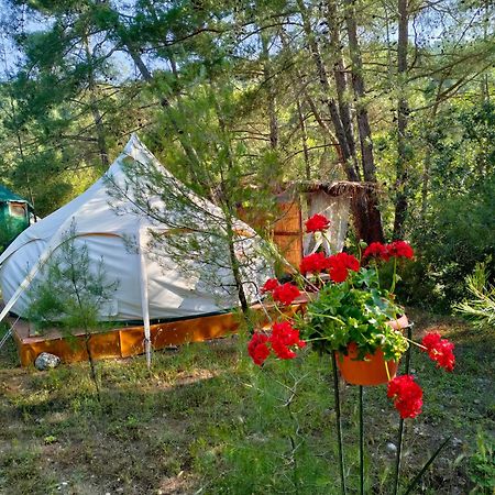 Hotel Vinsan Glamping & Wellness Centre Eleousa Exterior foto