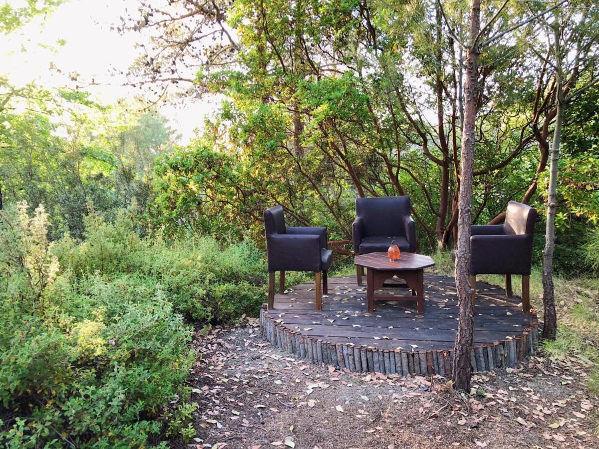 Hotel Vinsan Glamping & Wellness Centre Eleousa Exterior foto